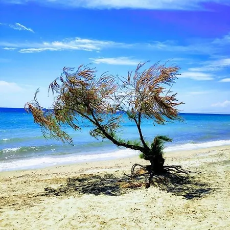 Seaside Family Apartment In Paralia Dionisiou Dış mekan fotoğraf