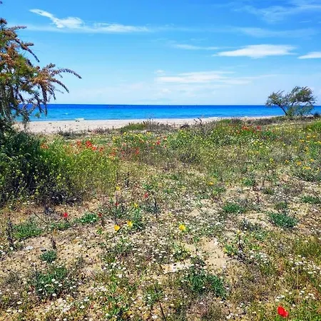 Seaside Family Apartment In Paralia Dionisiou Dış mekan fotoğraf