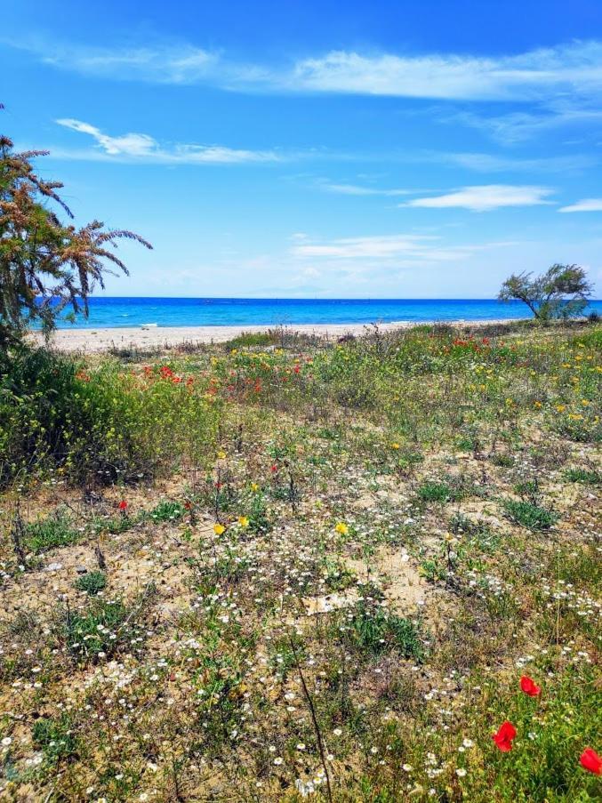 Seaside Family In Appartement Paralia Dionisiou