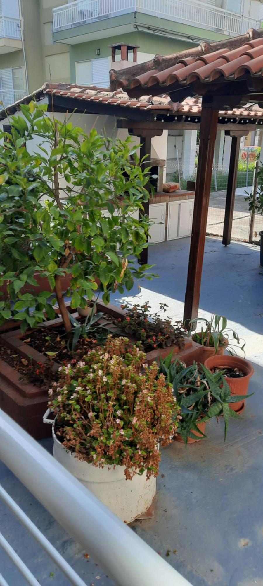 Appartement Seaside Family In